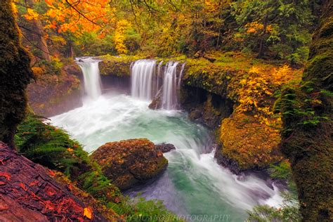 fall colors oregon 2023